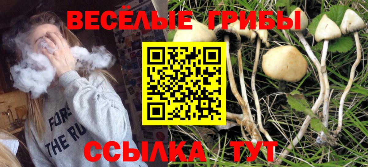 Псилоцибиновые грибы GOLDEN TEACHER  Вход с VPN  Уссурийск 